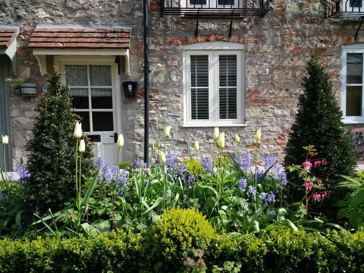 St Etheldreda's Cottage, Wells, Somerset Exteriör bild